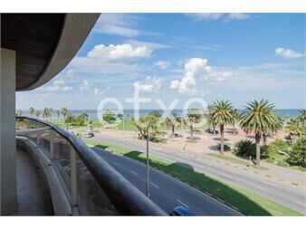 https://www.gallito.com.uy/apartamento-alquiler-1-dormitorio-rambla-gandhi-inmuebles-26945715