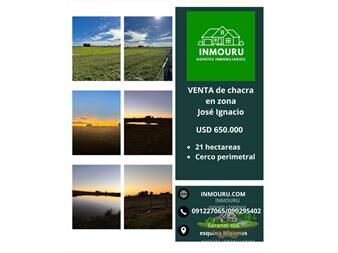 https://web5.gallito.com.uy/se-vende-chacra-de-21-hectareas-en-zona-jose-inmuebles-27565853