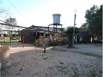 https://www.gallito.com.uy/chacra-de-14-has-a-pasitos-de-ruta-67-y-las-inmuebles-27266700