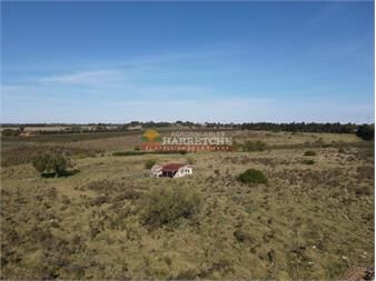 https://www.gallito.com.uy/chacra-en-progreso-3-has-con-construccion-3-inmuebles-27337150