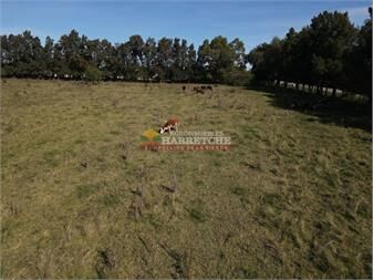https://www.gallito.com.uy/chacra-en-progreso-3-has-en-inmejorable-1-inmuebles-27337272