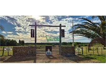 https://www.gallito.com.uy/chacras-de-la-bodega-sobre-la-ruta-80-km73-inmuebles-27485452