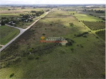 https://www.gallito.com.uy/progreso-chacra-de-3-has-cañada-tajamar-2-inmuebles-27337151