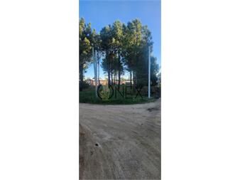 https://www.gallito.com.uy/terreno-lomas-de-solymar-entre-giannattasio-e-y-inmuebles-27307366