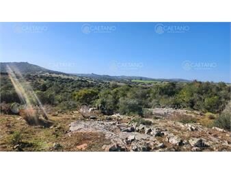 https://www.gallito.com.uy/venta-chacra-4-hectareas-pueblo-eden-inmuebles-26702148