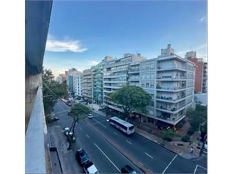 https://www.gallito.com.uy/consultorio-estudio-150mts2impecable-2-ggestodo-un-piso-inmuebles-27570094