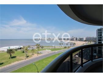 https://www.gallito.com.uy/apartamento-en-alquiler-en-edificio-olimpo-rambla-pocitos-inmuebles-26125020