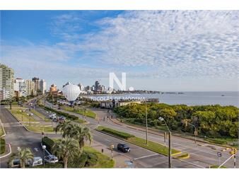 https://web5.gallito.com.uy/espectacular-departamento-en-venta-en-torre-playa-inmuebles-23361007