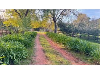 https://www.gallito.com.uy/campo-de-4-has-1602-m2-muy-cerca-de-ruta-12-y-la-inmuebles-27573131