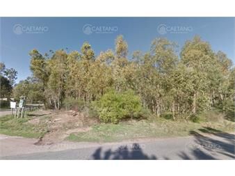 https://www.gallito.com.uy/venta-terreno-950m-en-burnett-maldonado-ideal-inmuebles-26070652