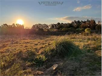 https://www.gallito.com.uy/campo-n-venta-abayuba-inmuebles-27573481