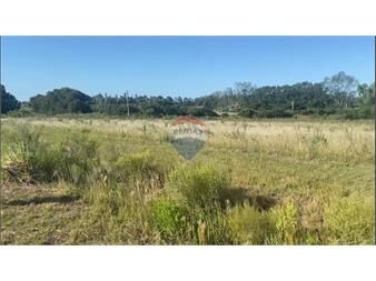 https://www.gallito.com.uy/venta-terreno-1ha-cno-a-la-arenisca-sn-colonia-inmuebles-27573485