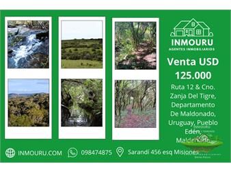 https://www.gallito.com.uy/venta-de-chacra-en-pueblo-eden-inmuebles-27576003