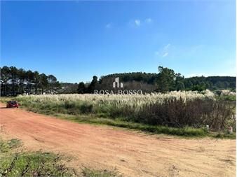 https://www.gallito.com.uy/terreno-venta-maldonado-altos-de-la-laguna-inmuebles-27576121