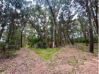 https://www.gallito.com.uy/venta-terreno-en-burnett-maldonado-1730m2-inmuebles-26269487