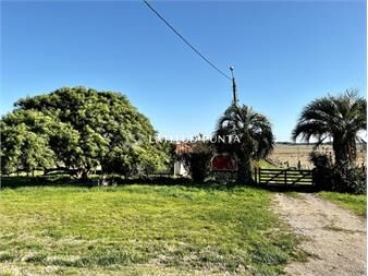 https://www.gallito.com.uy/chacra-de-7-has-en-ruta-104-manantiales-inmuebles-23636536