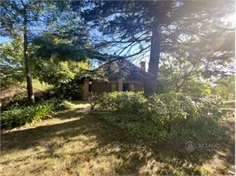https://www.gallito.com.uy/venta-casa-3-dormitorios-pinares-punta-del-este-inmuebles-26632388