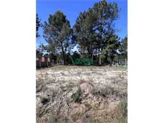 https://www.gallito.com.uy/terreno-en-venta-financiado-el-pinar-norte-inmuebles-27484835