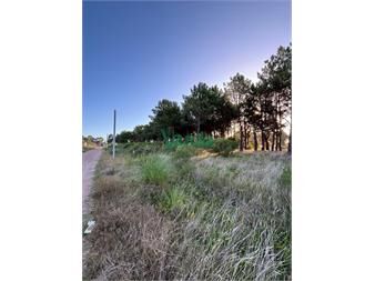 https://www.gallito.com.uy/terreno-financiado-ultimos-en-montes-de-solymar-inmuebles-27484973