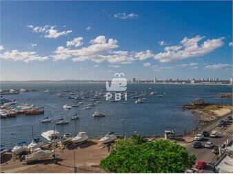 https://www.gallito.com.uy/exclusivo-apartamento-en-venta-6-dormitorios-inmuebles-24863364