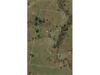 https://www.gallito.com.uy/campo-cerca-ruta-39-inmuebles-26266261