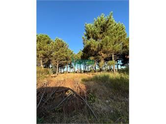 https://www.gallito.com.uy/terrenos-en-venta-financiados-ultimos-en-nilo-inmuebles-27485159
