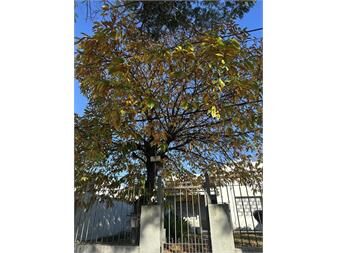 https://www.gallito.com.uy/venta-casa-3-dormitorios-2-baños-fondo-1-planta-a-reciclar-inmuebles-27539710