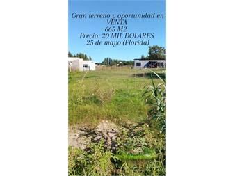https://www.gallito.com.uy/venta-de-gran-terreno-en-25-de-mayo-inmuebles-27581539