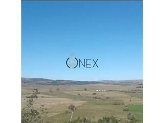 https://www.gallito.com.uy/venta-de-campo-80h-sobre-las-sierras-de-villa-inmuebles-27581987
