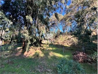 https://www.gallito.com.uy/terreno-en-venta-en-club-del-lago-ref-inmuebles-27586282