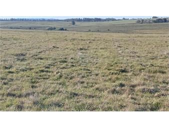 https://www.gallito.com.uy/campo-10-has-monte-eucaliptos-tajamar-y-pasa-inmuebles-27586365
