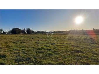 https://www.gallito.com.uy/campo-5-has-cerca-de-la-r-104-y-entre-camino-inmuebles-27586366