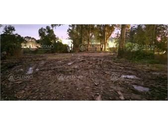https://www.gallito.com.uy/terreno-en-venta-miradores-de-lussich-inmuebles-27586458