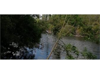 https://www.gallito.com.uy/campo-en-zanja-chavez-con-costa-de-arroyo-caña-inmuebles-27586459