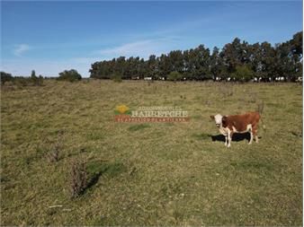 https://www.gallito.com.uy/chacra-en-progreso-3-has-en-inmejorable-1-inmuebles-27337272