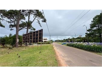 https://www.gallito.com.uy/2-terrenos-con-excelente-ubicacion-en-punta-del-este-inmuebles-26814714