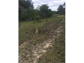 https://www.gallito.com.uy/gran-oportunidad-terreno-en-balneario-la-sirena-inmuebles-27595675