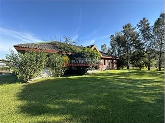https://www.gallito.com.uy/campo-de-olivos-en-venta-con-fabrica-de-aceite-inmuebles-27595971