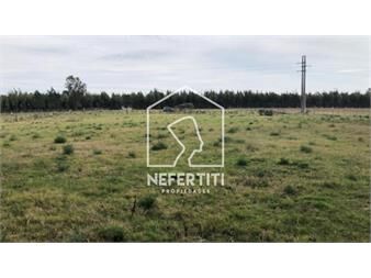 https://www.gallito.com.uy/venta-gran-terreno-en-los-titanes-inmuebles-27596334