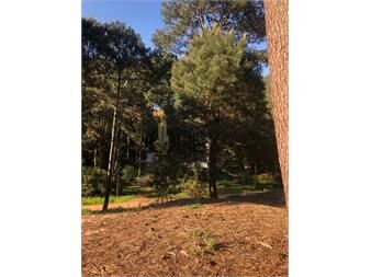 https://www.gallito.com.uy/terreno-en-punta-ballena-club-del-lago-inmuebles-27596548