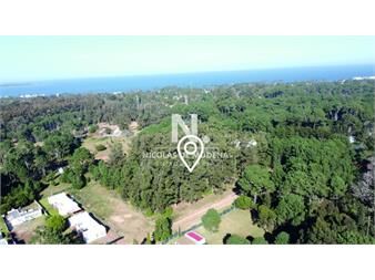 https://www.gallito.com.uy/terreno-en-parque-burnett-maldonado-ref-4285-inmuebles-27599451