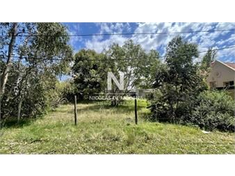 https://www.gallito.com.uy/en-venta-espacioso-terreno-de-470-m2-en-el-la-inmuebles-25348319