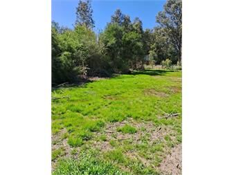 https://www.gallito.com.uy/venta-terreno-en-sauce-de-portezuelo-maldonado-inmuebles-27599616