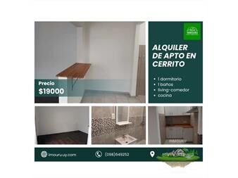 https://www.gallito.com.uy/alquilo-acogedor-apto-en-cerrito-inmuebles-27603282