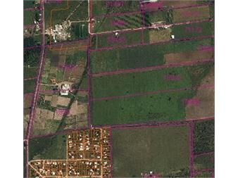 https://www.gallito.com.uy/venta-campo-10-hectareas-r-75-pando-inmuebles-26168448