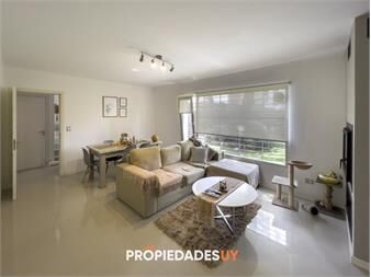 https://www.gallito.com.uy/excelente-ubicacion-mansa-a-metros-de-la-playa-inmuebles-23850683