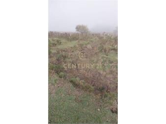 https://www.gallito.com.uy/campo-con-23-hectareas-en-ruta-12-kilometro-94-acepta-ba-inmuebles-26386215