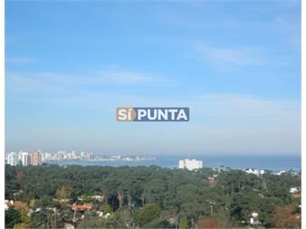 https://www.gallito.com.uy/1-dormitorio-en-roosevelt-edificio-con-servicios-inmuebles-27607784
