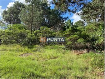 https://www.gallito.com.uy/punta-ballena-tio-tom-a-500-mts-del-mar-inmuebles-27607860
