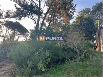 https://www.gallito.com.uy/lindo-lote-en-venta-en-pinares-inmuebles-27607964